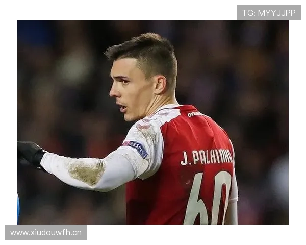 帕利尼亚从布拉加到回归葡萄牙体育的关键转折解析